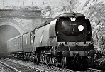 Southern Locomotives Ltd | Gallery Page